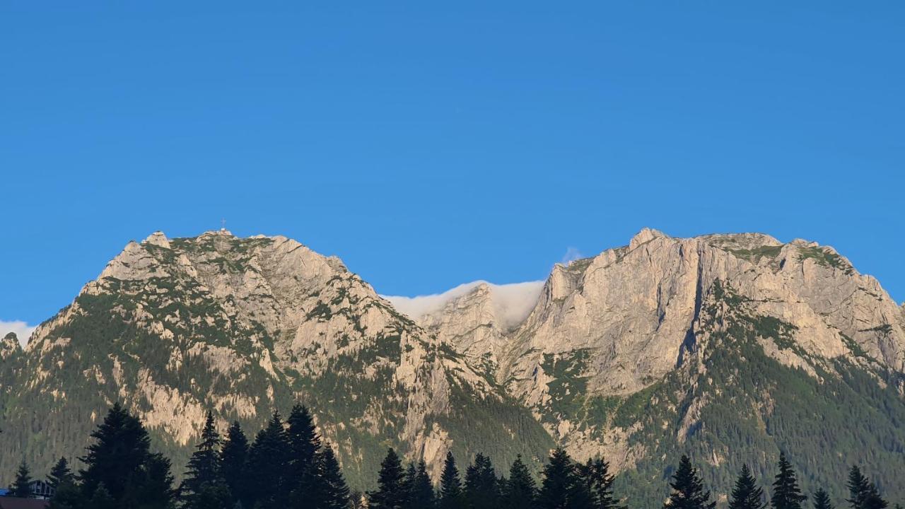 Pensiunea Luna Buşteni Exterior foto