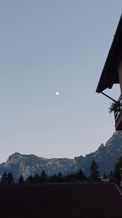 Pensiunea Luna Buşteni Exterior foto